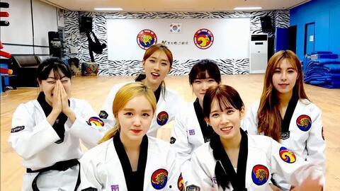 韩国虎队背景音乐