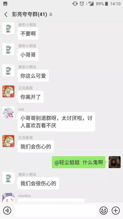 白小组资料大全,揭秘神秘组织背后的真相与秘密