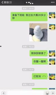 白小组资料大全,揭秘神秘组织背后的真相与秘密