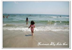 黑海青的生活照,神秘海洋精灵的日常生活掠影