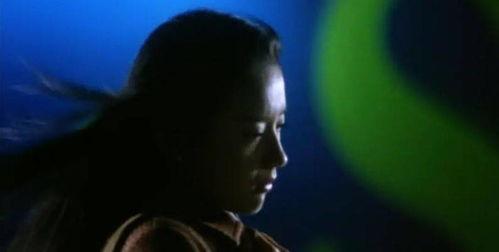 八卦白莲花,揭秘娱乐圈的清高与争议