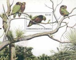 鹦哥个人资料,多才多艺的才艺达人，揭秘其多彩人生