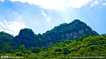 峰照片,捕捉自然之美，探寻生命奥秘