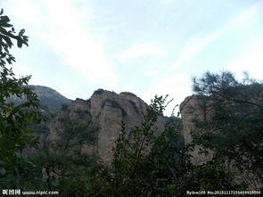 峰照片,捕捉自然之美，探寻生命奥秘