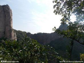 峰照片,捕捉自然之美，探寻生命奥秘