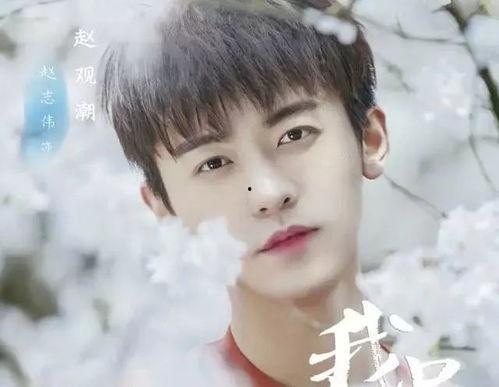 许鑫个人资料,才华横溢的青年才俊，多领域成就斐然