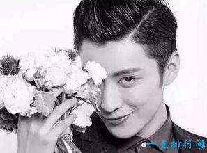 娱乐男明星人气排行,盘点当下最火娱乐男明星人气排行