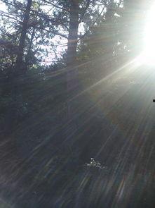 烈日的照片,烈日下的自然奇观