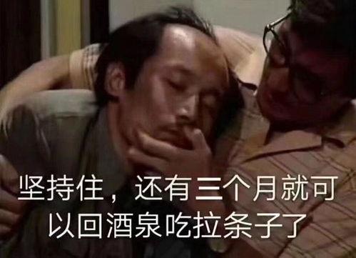 葛优表情包资源,笑出腹肌的喜剧魅力