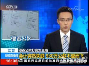 余姓女主播会计,会计奇才的直播传奇