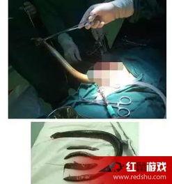 黄鳝女主播视频 观看,揭秘网络直播的暗流涌动